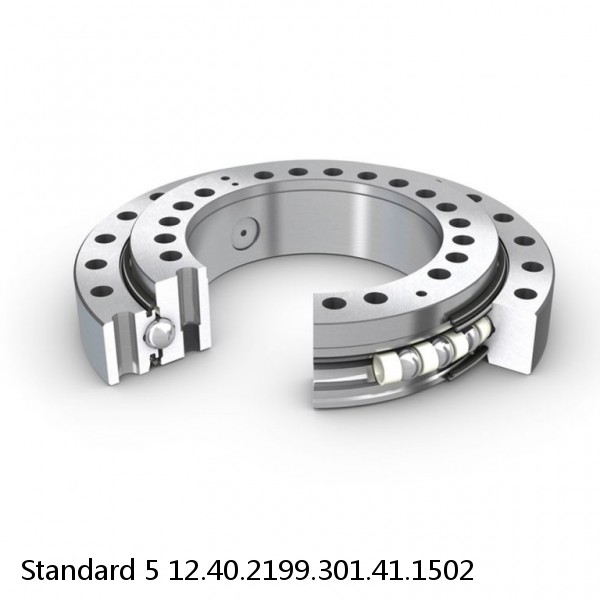 12.40.2199.301.41.1502 Standard 5 Slewing Ring Bearings