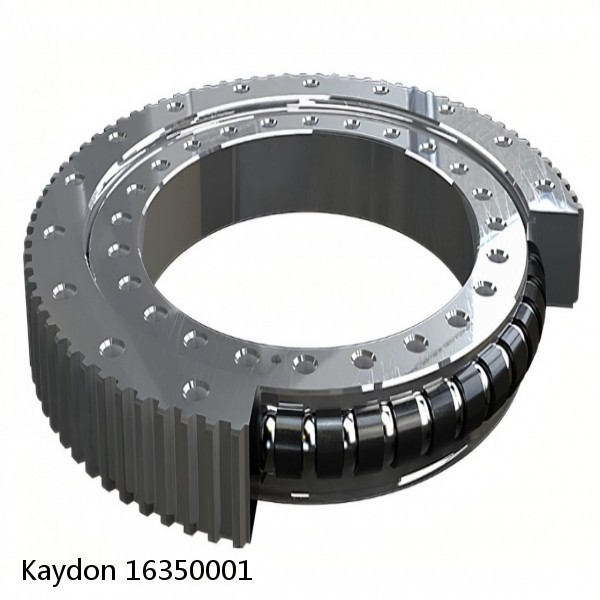 16350001 Kaydon Slewing Ring Bearings