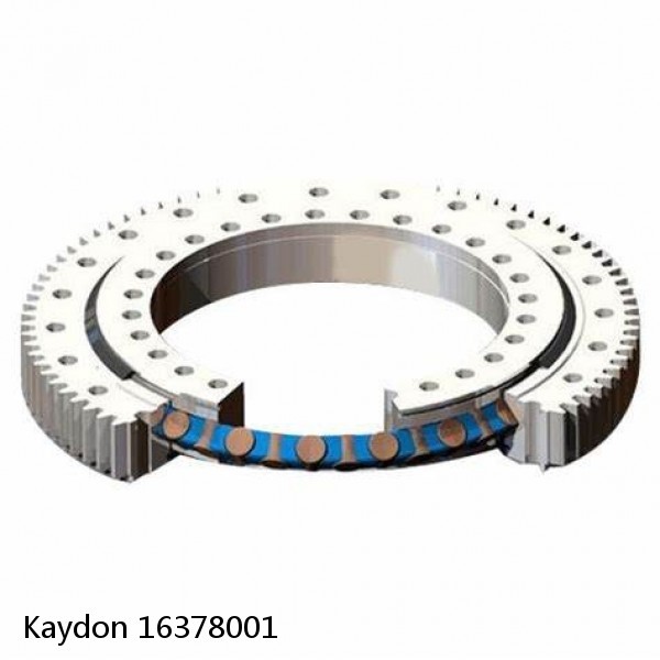 16378001 Kaydon Slewing Ring Bearings