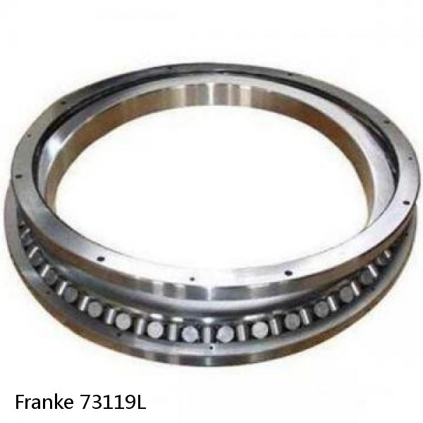 73119L Franke Slewing Ring Bearings