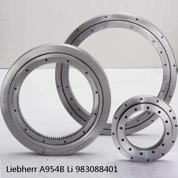 983088401 Liebherr A954B Li Slewing Ring