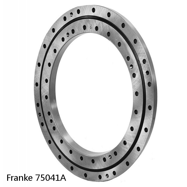 75041A Franke Slewing Ring Bearings