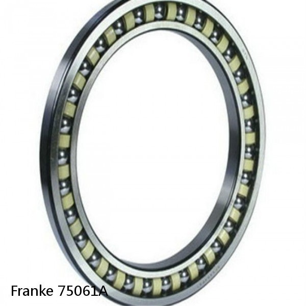 75061A Franke Slewing Ring Bearings