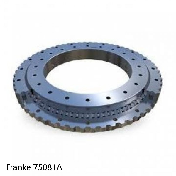 75081A Franke Slewing Ring Bearings