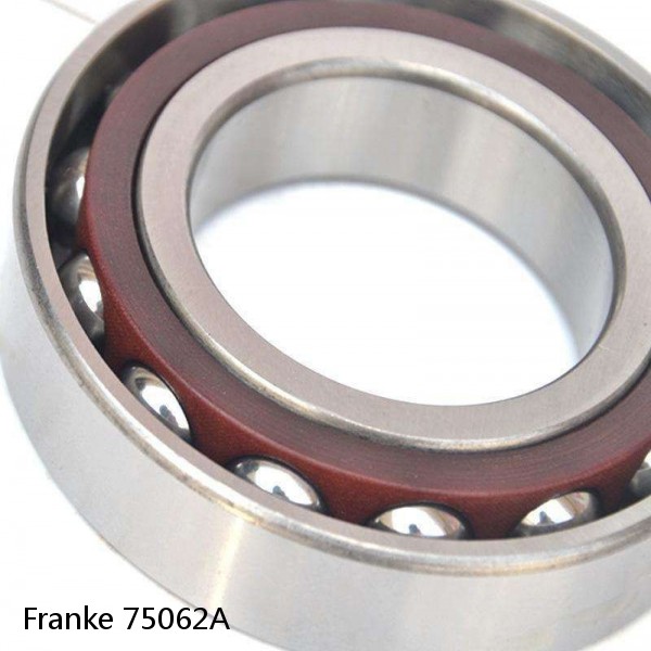 75062A Franke Slewing Ring Bearings