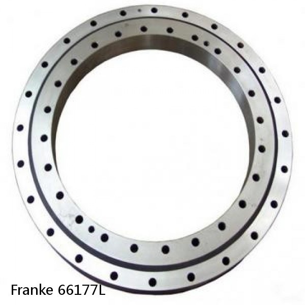 66177L Franke Slewing Ring Bearings