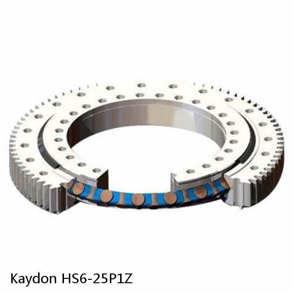 HS6-25P1Z Kaydon Slewing Ring Bearings