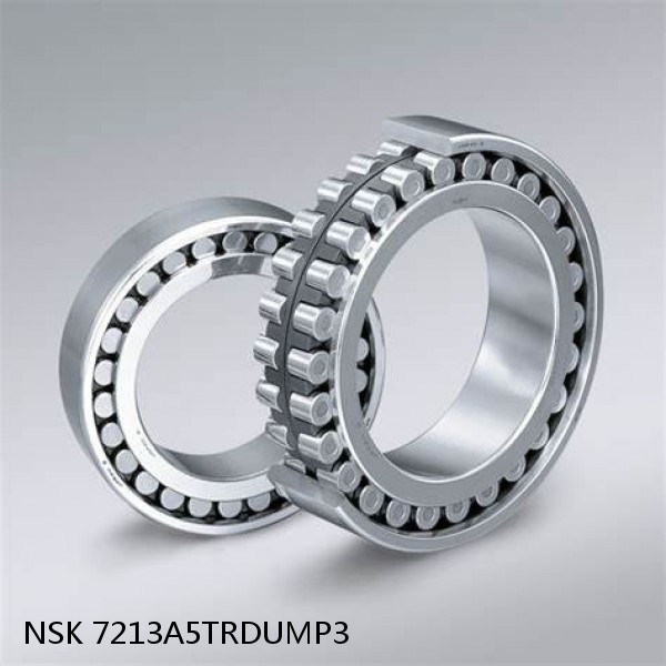 7213A5TRDUMP3 NSK Super Precision Bearings