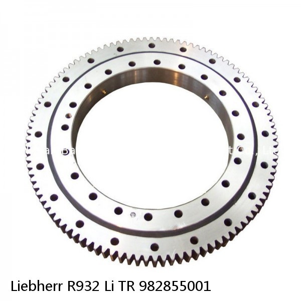 982855001 Liebherr R932 Li TR Slewing Ring