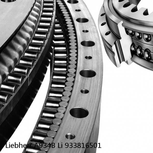 933816501 Liebherr A934B Li Slewing Ring